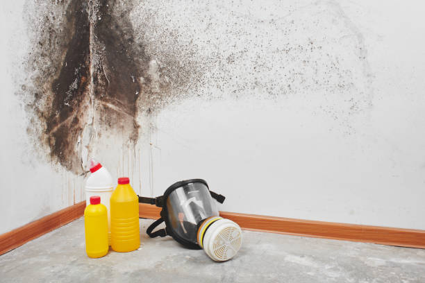Best Crawl Space Mold Removal  in Three Rivers, OR